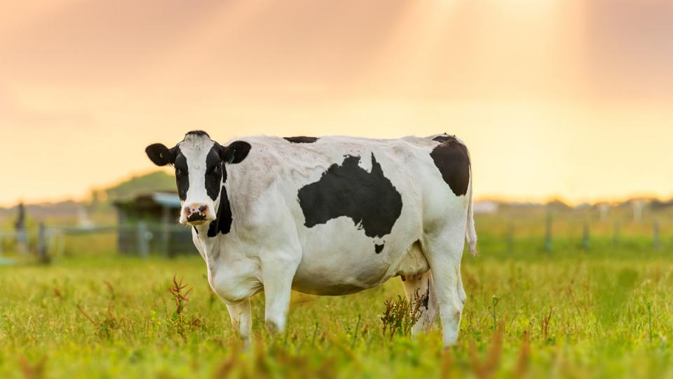 Does Drinking Milk Make You Taller